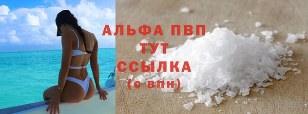 дживик Арсеньев