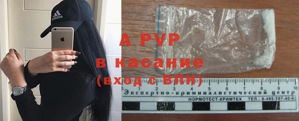 дживик Арсеньев