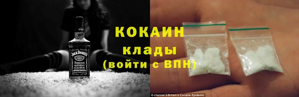дживик Арсеньев