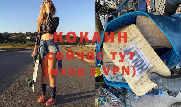 дживик Арсеньев