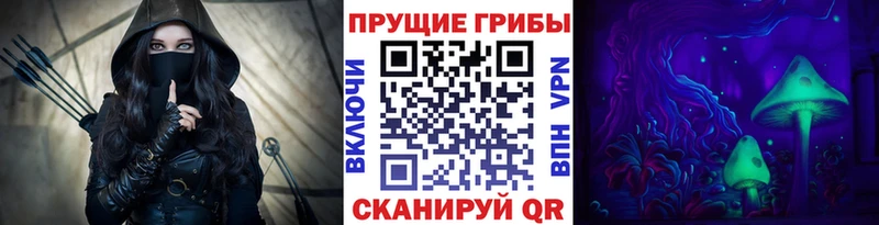 закладки  Темрюк  Галлюциногенные грибы Cubensis 